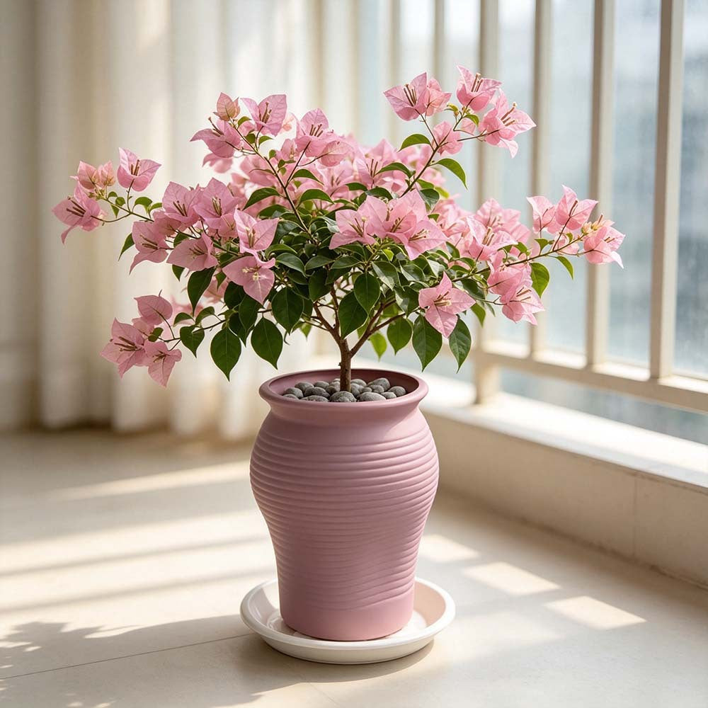 Decorative Textured Planter Vase Bowlift