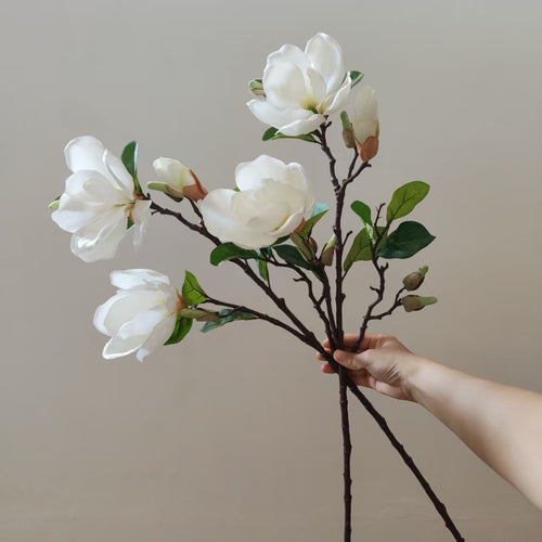 Realistic Magnolia Blossom Stem