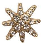 Decorative Star Brooch Bowlift