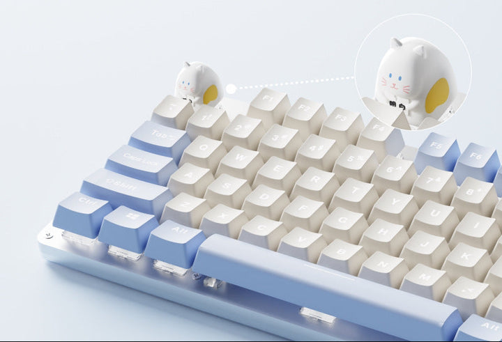 Keyboard Accessory Bowlift