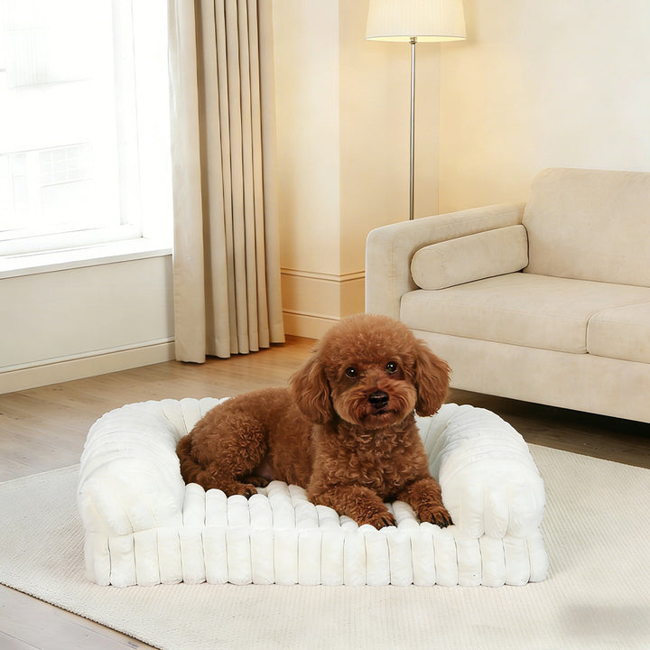 Orthopedic Support dog Sofa