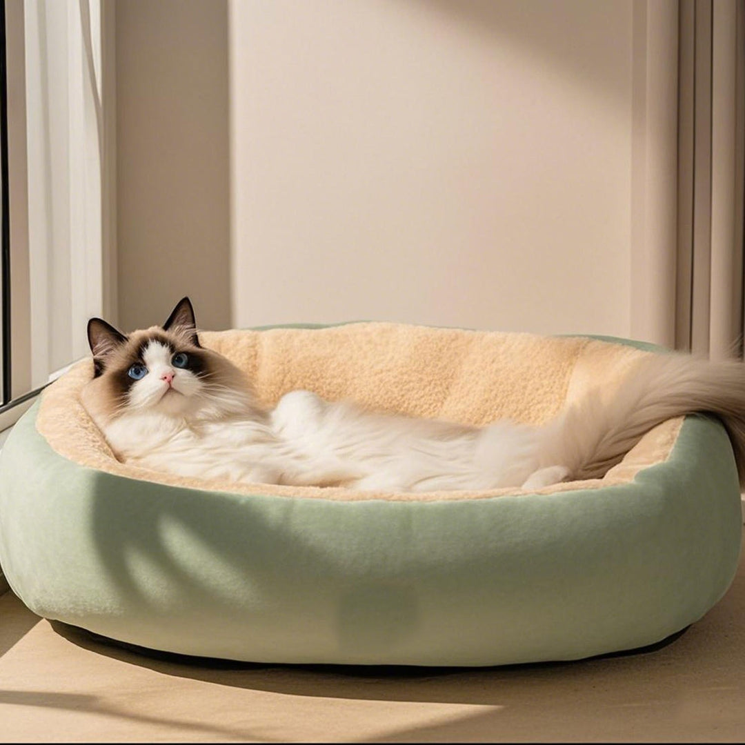 Orthopedic Comfort Dog Bed
