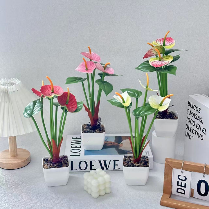 Realistic Anthurium Plant Arrangement