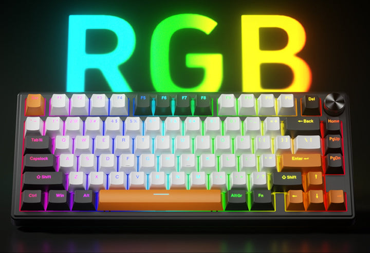 Gasket-Mounted Mechanical Gaming Keyboard with RGB Lighting Features Bowlift