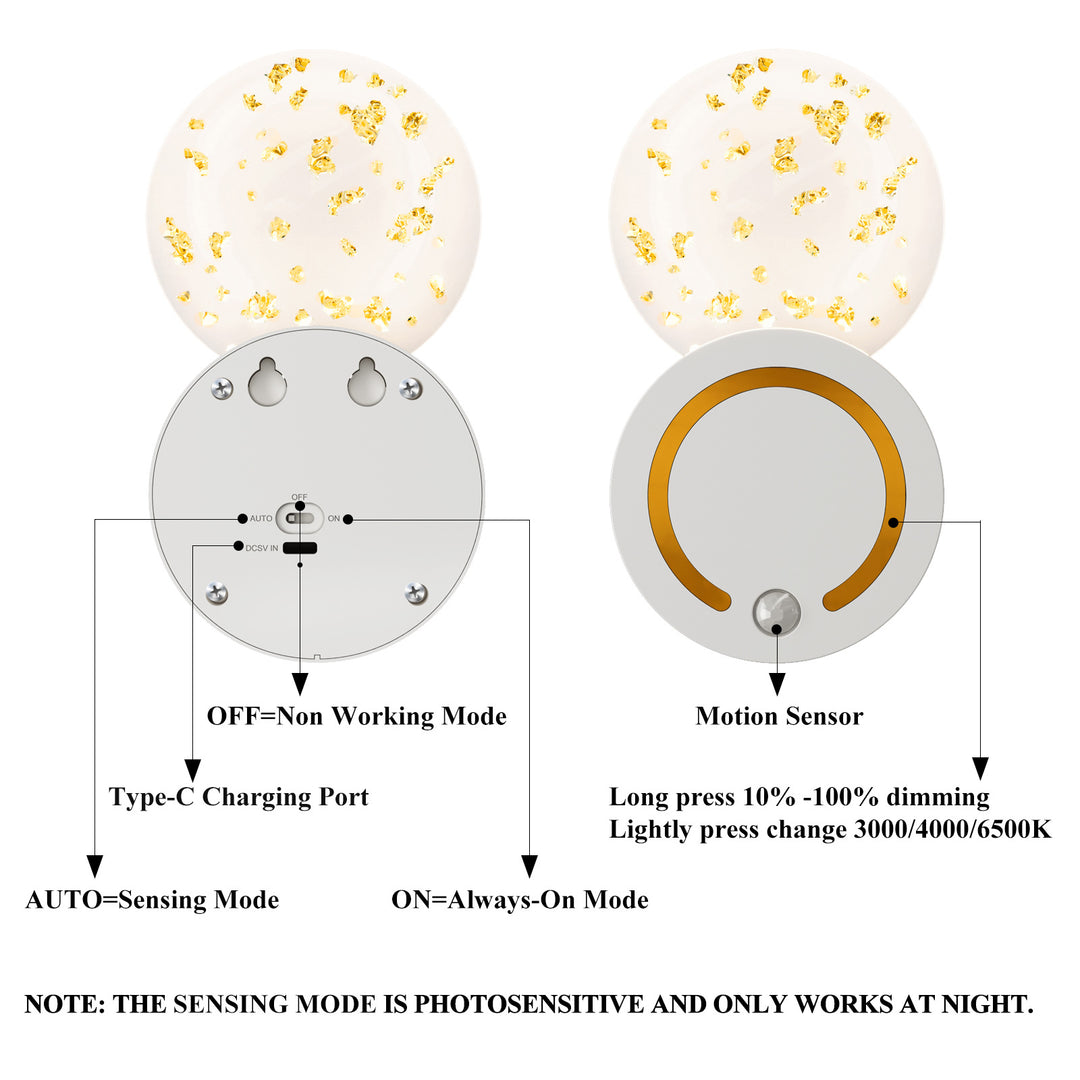 Modern Decorative Wall Sconce