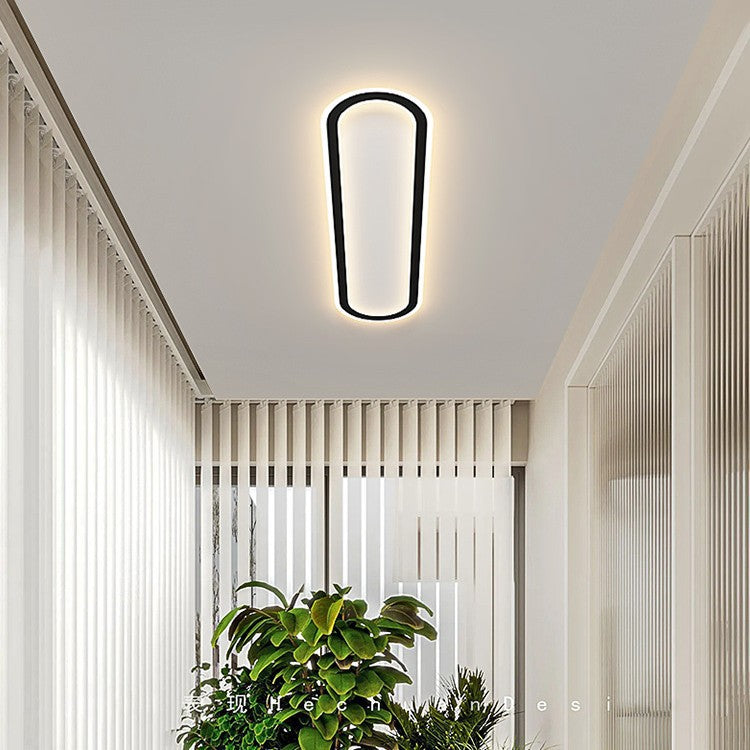 Modern Oval LED Ceiling Fixture