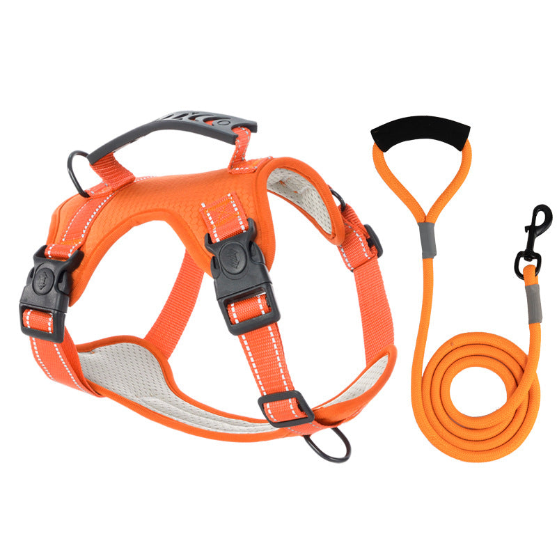 BowLift | TailMate - The comfortable dog harness