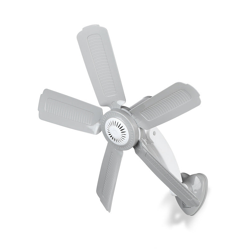 Women Wall Fan Bowlift