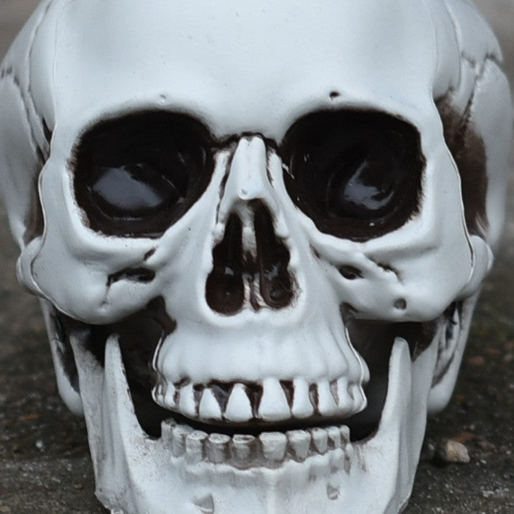 Decorative Realistic Skull Figurine Bowlift