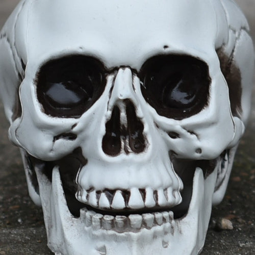 Decorative Realistic Skull Figurine Bowlift