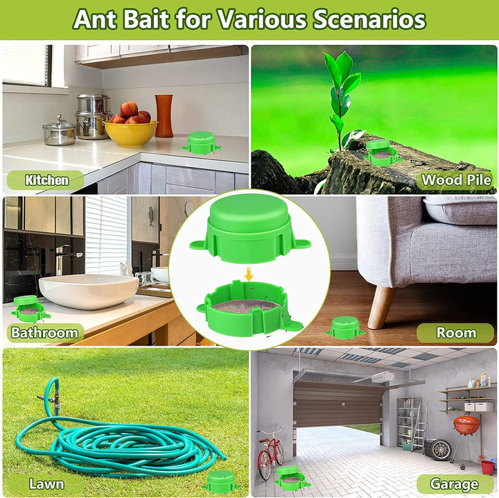 Ant wasp trap with refill system Bowlift