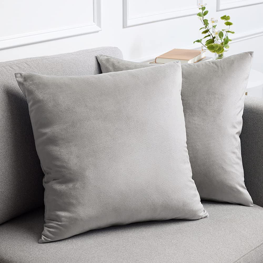 Velvet Square Decorative Throw Pillow Set Bowlift