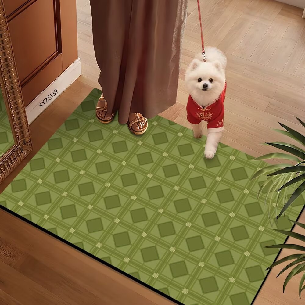 Decorative Entryway Mat Bowlift