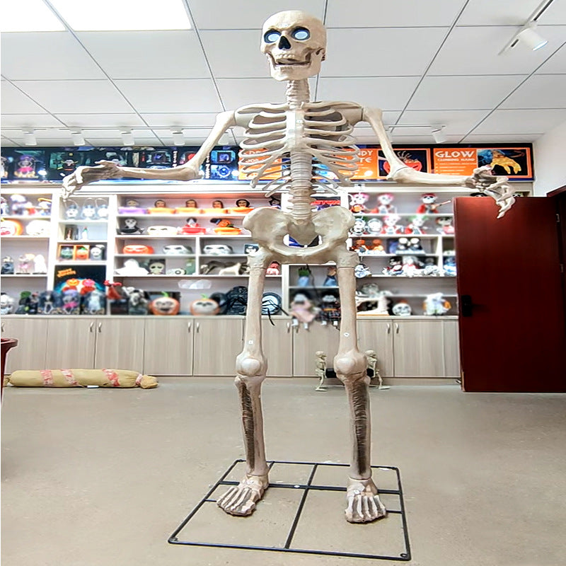 Life-Size Anatomical Skeleton Prop Bowlift