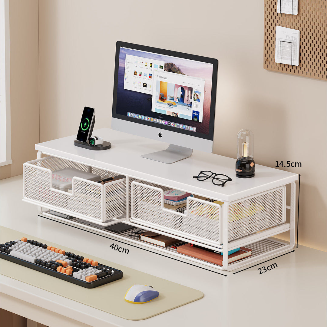 Multi-Functional Desk Organizer with Mesh Storage Bins Bowlift