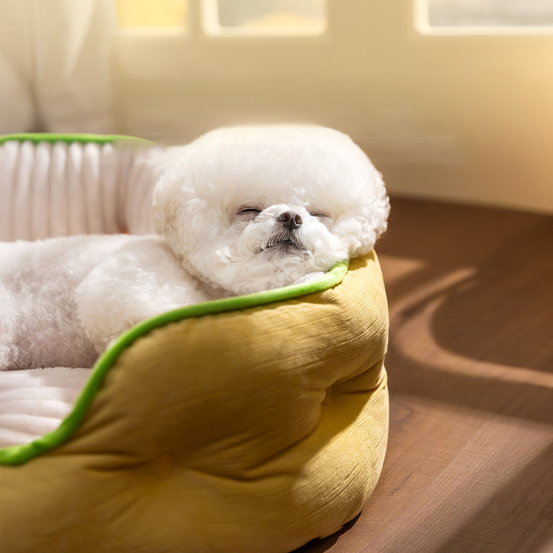 Cozy Round Quilted Dog Bed