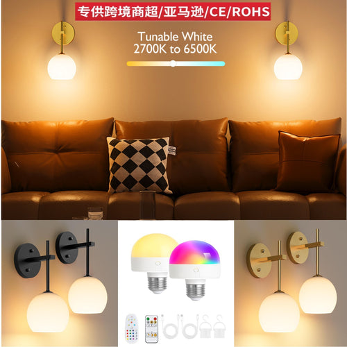 Adjustable LED Wall Sconce