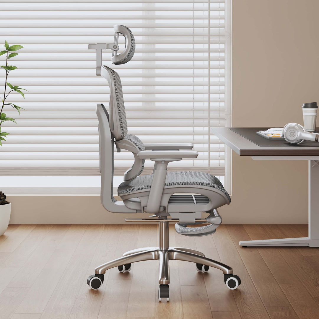 Adjustable Lumbar Support Office Chair Bowlift