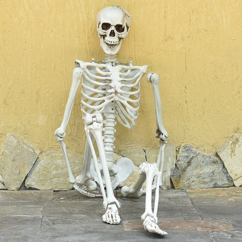 Realistic Life-Size Skeleton Decoration Bowlift