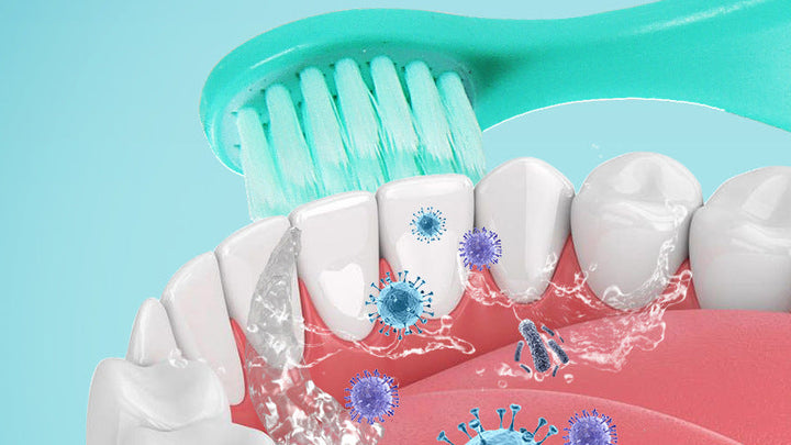 Interdraft U-Shaped Toothbrush Bowlift