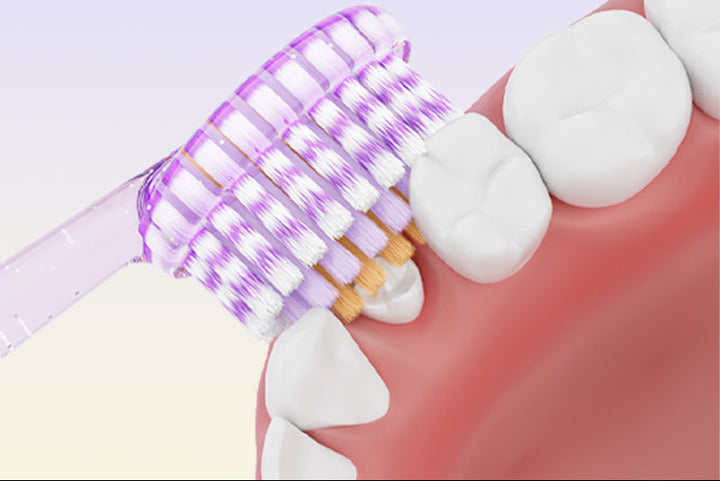 Ultra-Soft Micro Bristle Toothbrush Set Bowlift