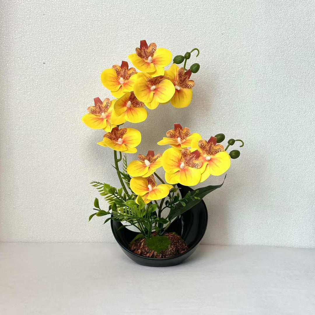 Lifelike Orchid Flower Display