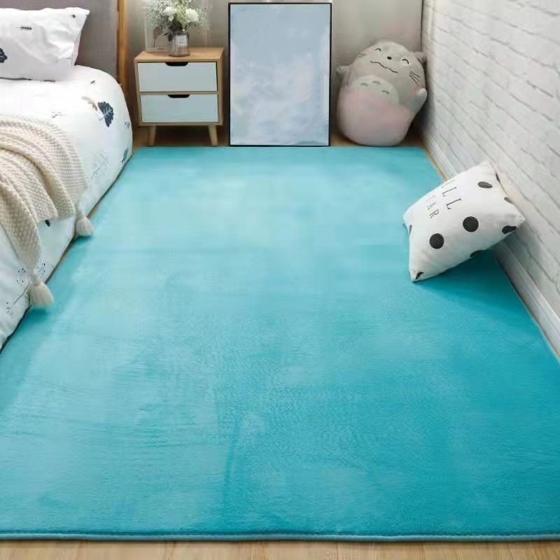Plush Area Rug