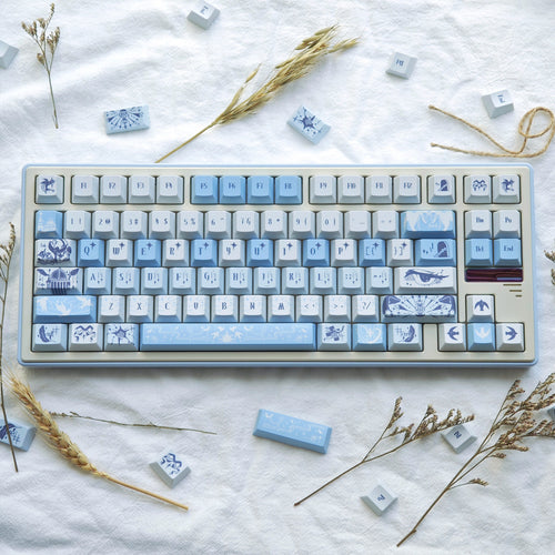 Aesthetic Mechanical Keycap Set Bowlift