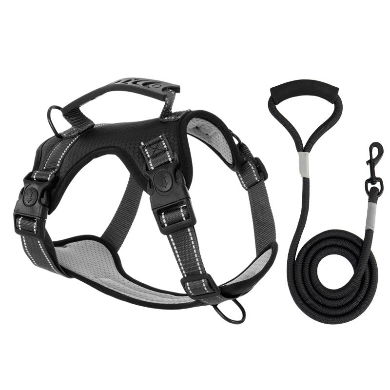 BowLift | TailMate - The comfortable dog harness