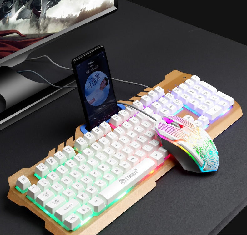 Mechanical Gaming Keyboard and High-Performance RGB Mouse Combo Bowlift
