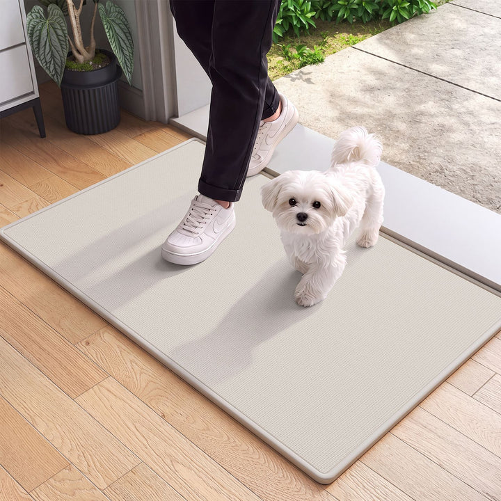 Contemporary Indoor Entryway Mat Bowlift