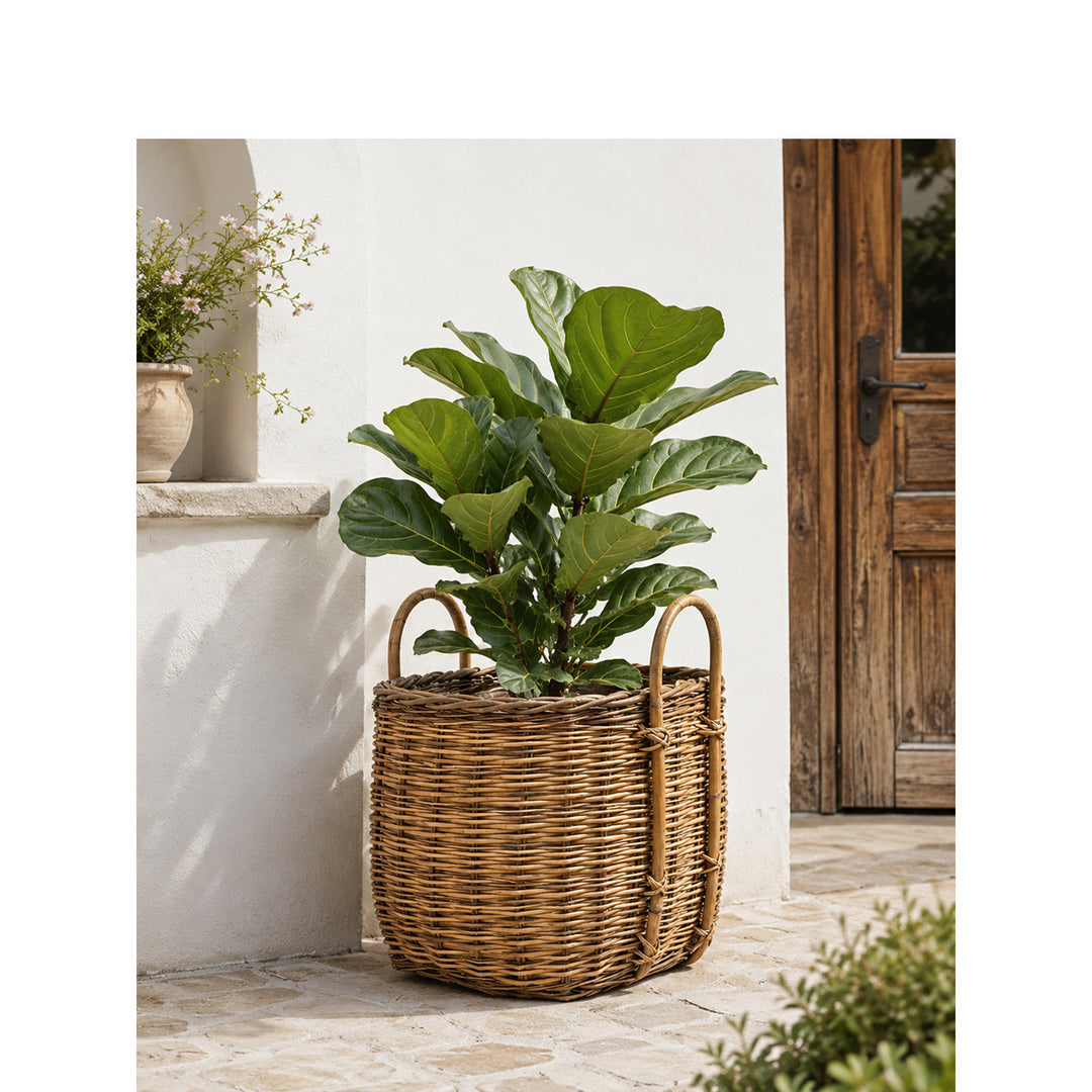 Robust basket with lid and practical handle Bowlift