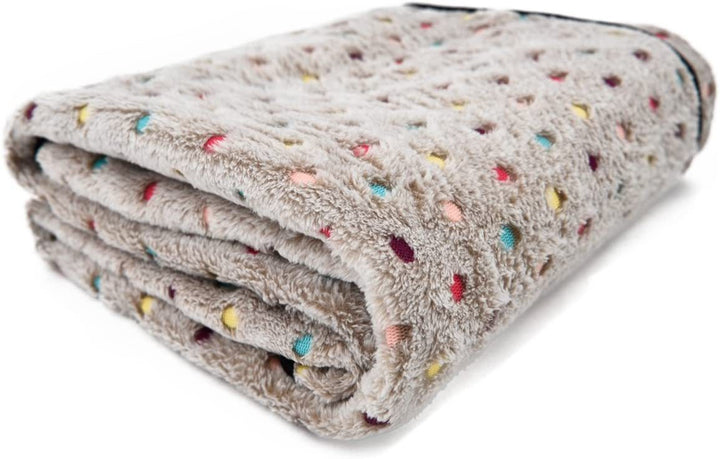 Ladies Cozy Microfiber Blanket with Playful Pattern Bowlift