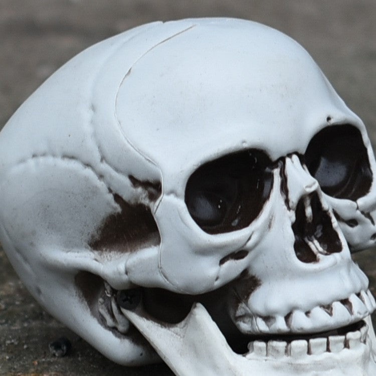 Decorative Skull Phone Stand Bowlift