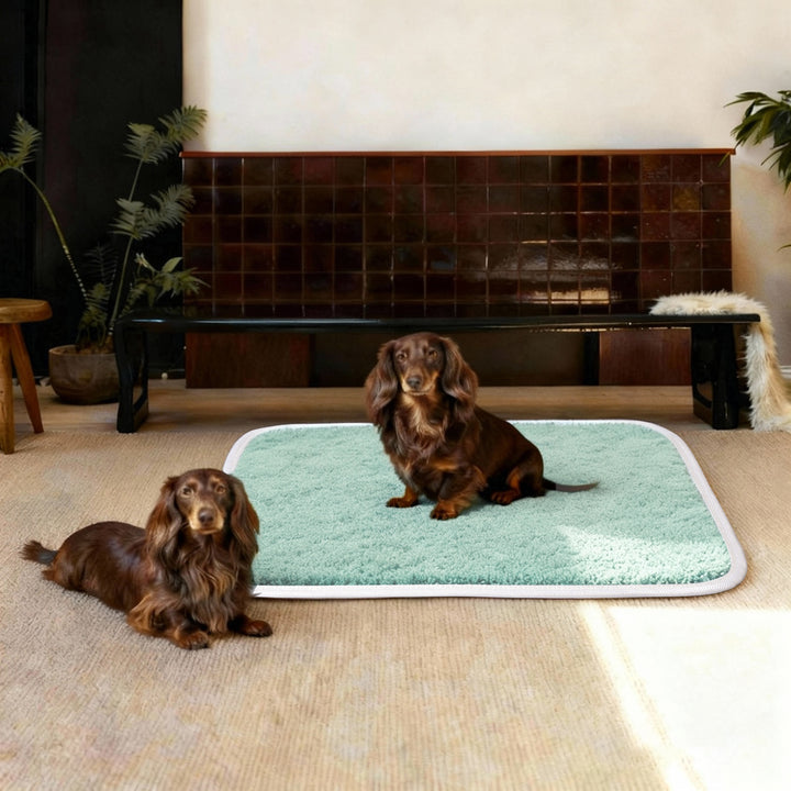 Women's Bathroom Mat Bowlift