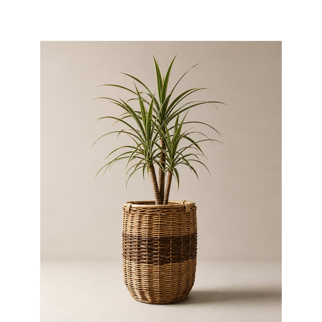 Handwoven laundry basket Bowlift