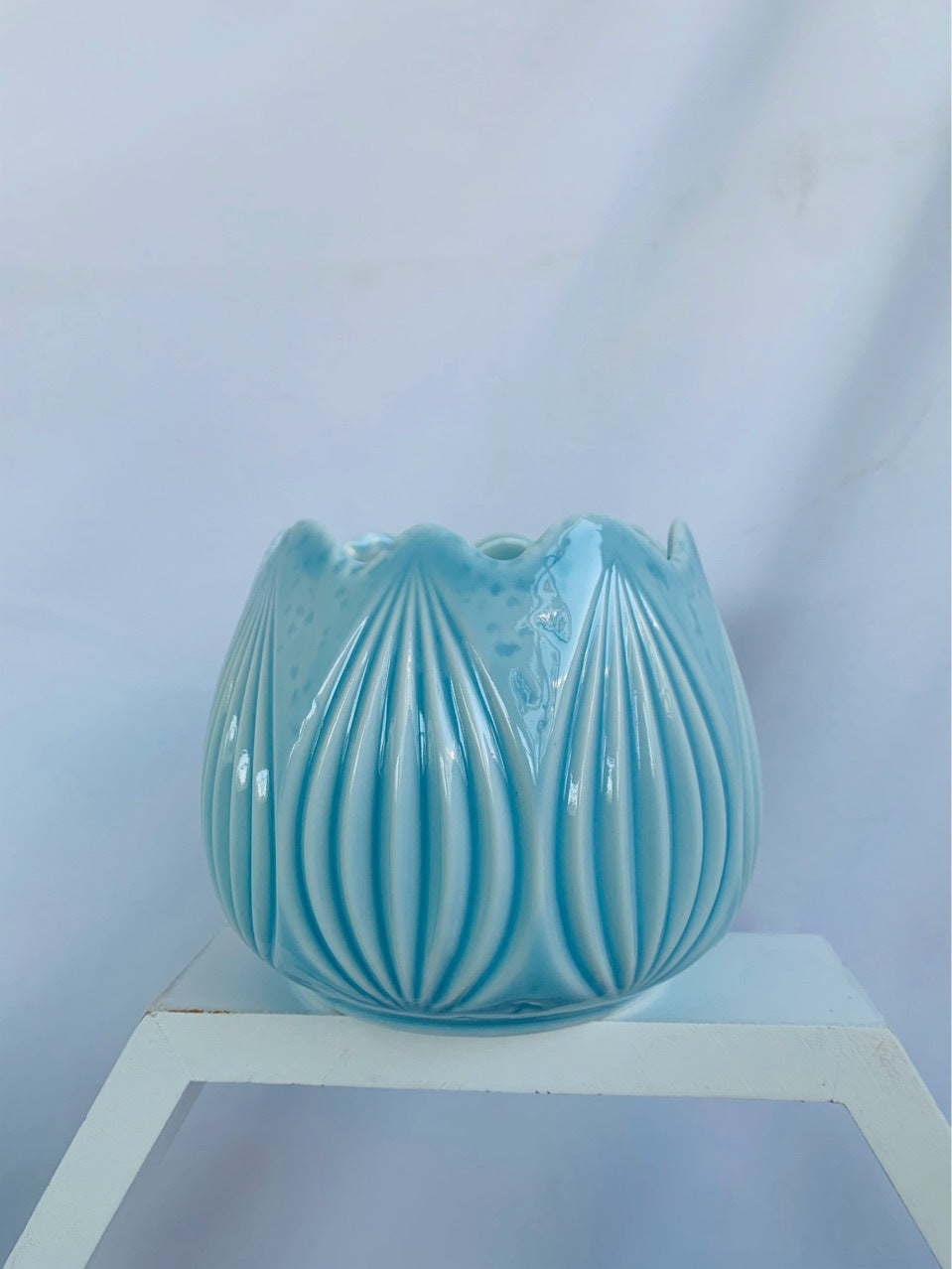 Decorative Ceramic Planter Bowlift