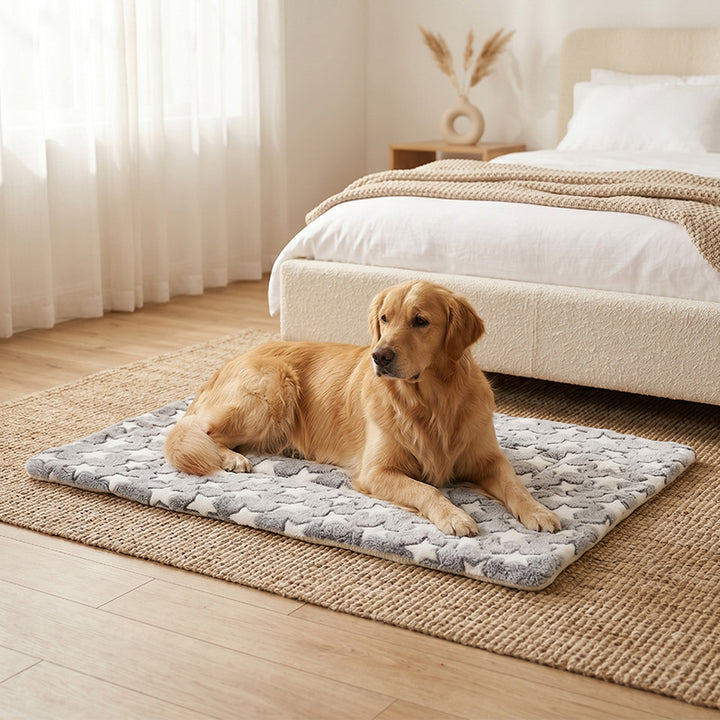 Unisex High-quality and soft pet resting surface Bowlift