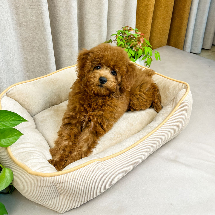 Cozy Corduroy Dog Bed