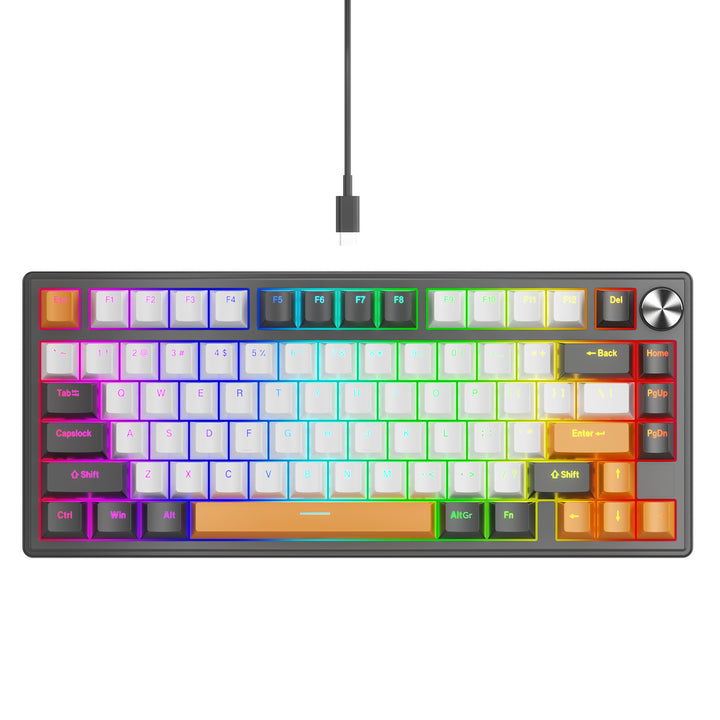 Gasket-Mounted Mechanical Gaming Keyboard with RGB Lighting Features Bowlift