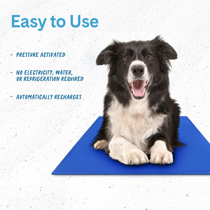 Cooling Dog Mat Bowlift