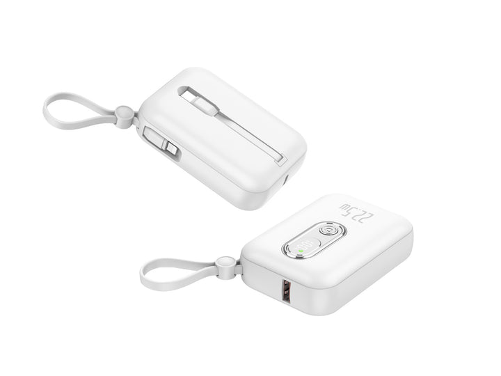 Portable power bank with integrated USB-C port and digital charge status display Bowlift