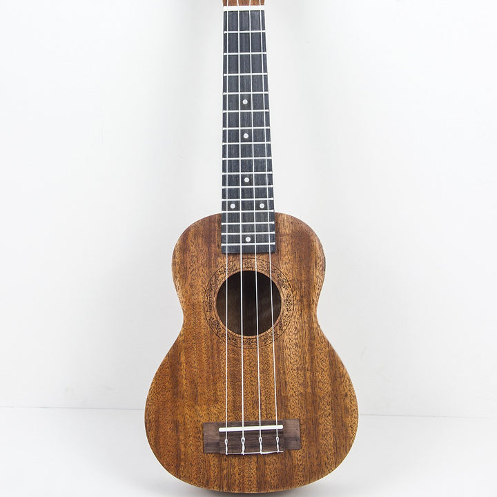 Rainbow Acoustic Ukulele Bowlift