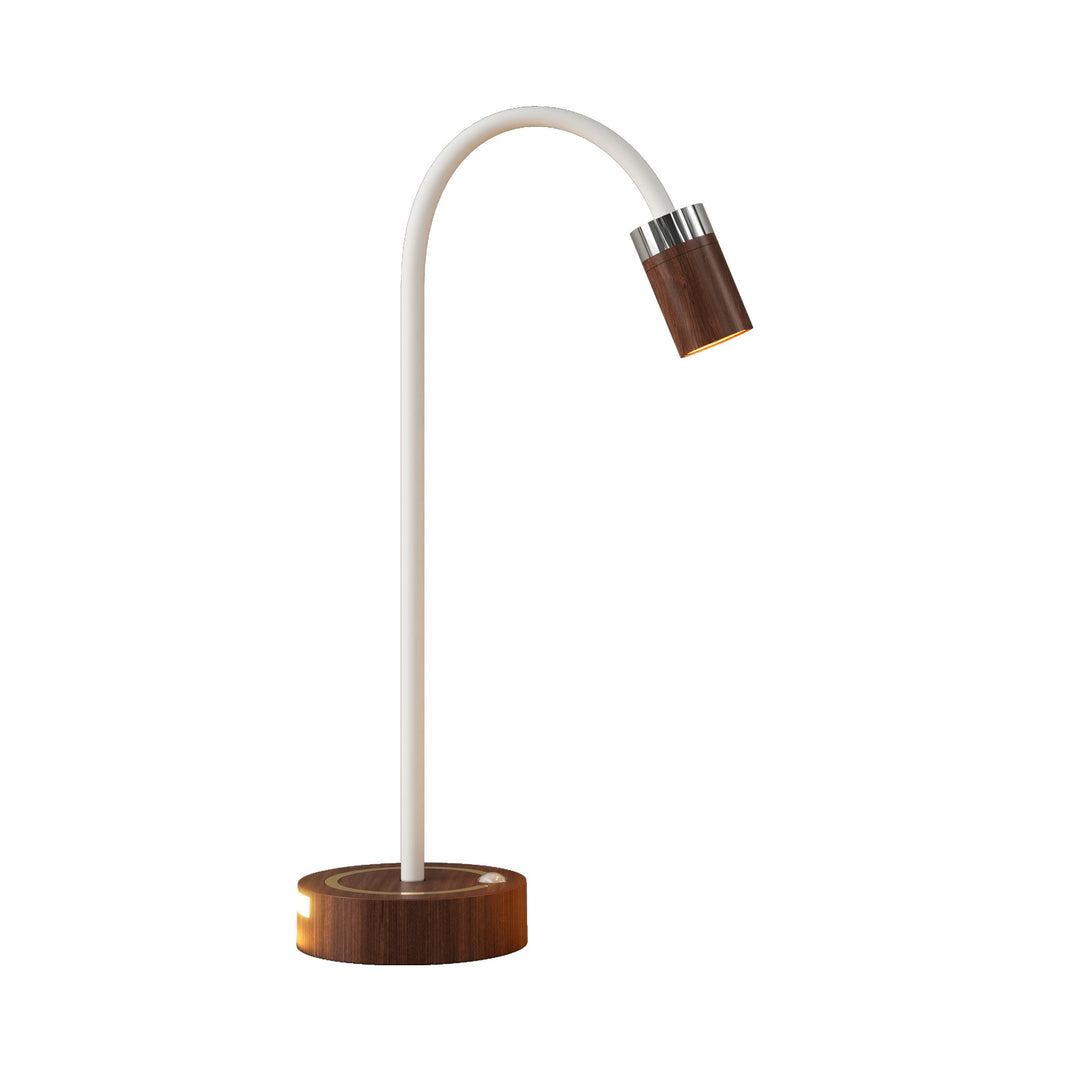 Flexible LED Desk Lamp