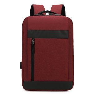 Professional Business Laptop Backpack Bowlift