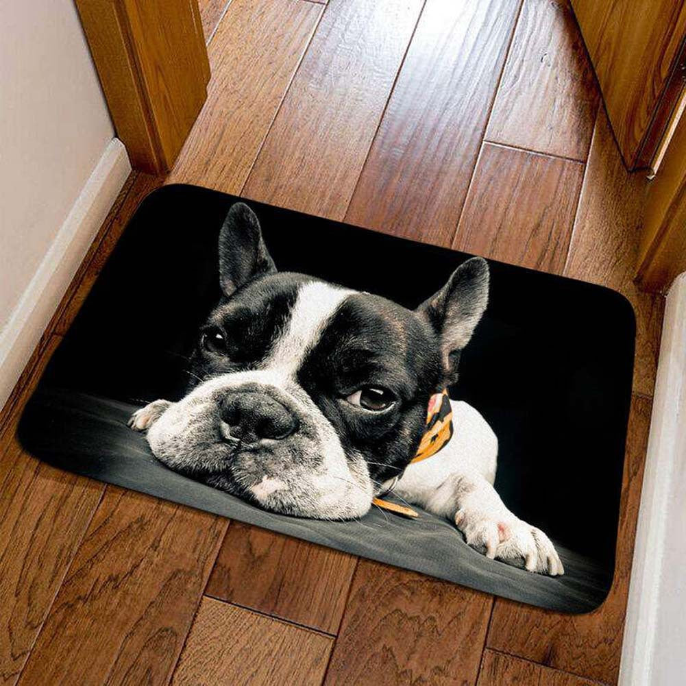 Decorative Cat Welcome Mat Bowlift