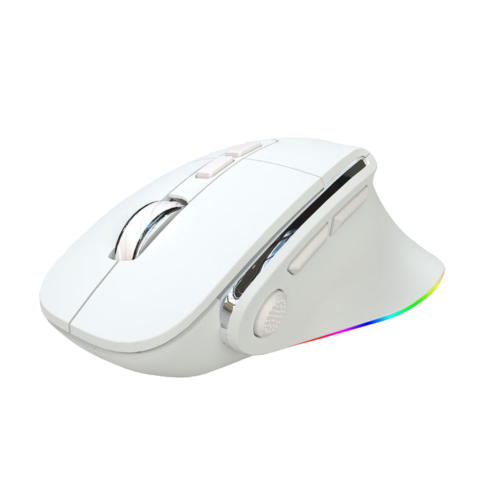 Wireless Ergonomic Gaming Mouse Bowlift