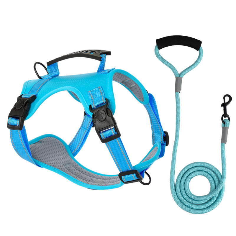 BowLift | TailMate - The comfortable dog harness
