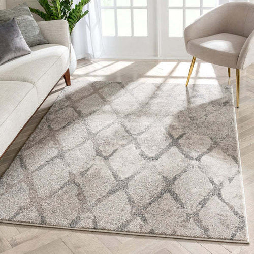Luxurious Patterned Area Rug Bowlift