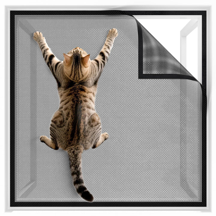 Cat Scratch Deterrent Window Screen Bowlift
